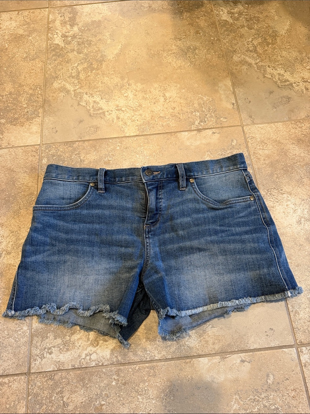Carve Designs Blue Denim Cutoff Shorts with Frayed Hem